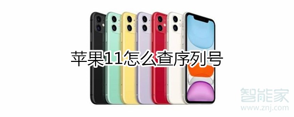 iphone11如何查序列号