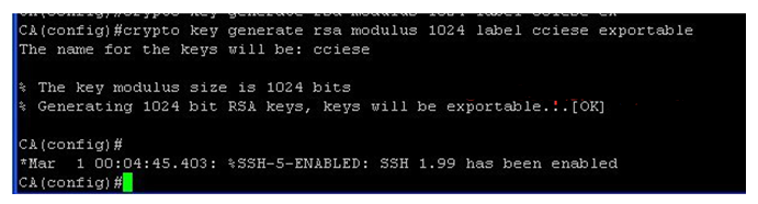 PKI系列：（2）CA服务器的部署【基于Cisco IOS与微软CA】