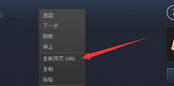 steam个人资料链接在哪里看详细方法