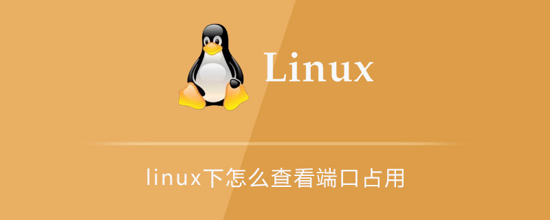 linux怎么查看哪些端口被占用了,linux下怎么查看哪些端口被占用